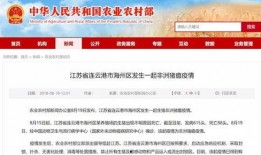 许州新闻最新爆料消息,最新爆料事件背后的真相